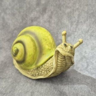 Schnecke grün