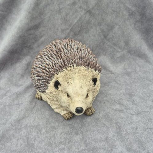 Igel gross