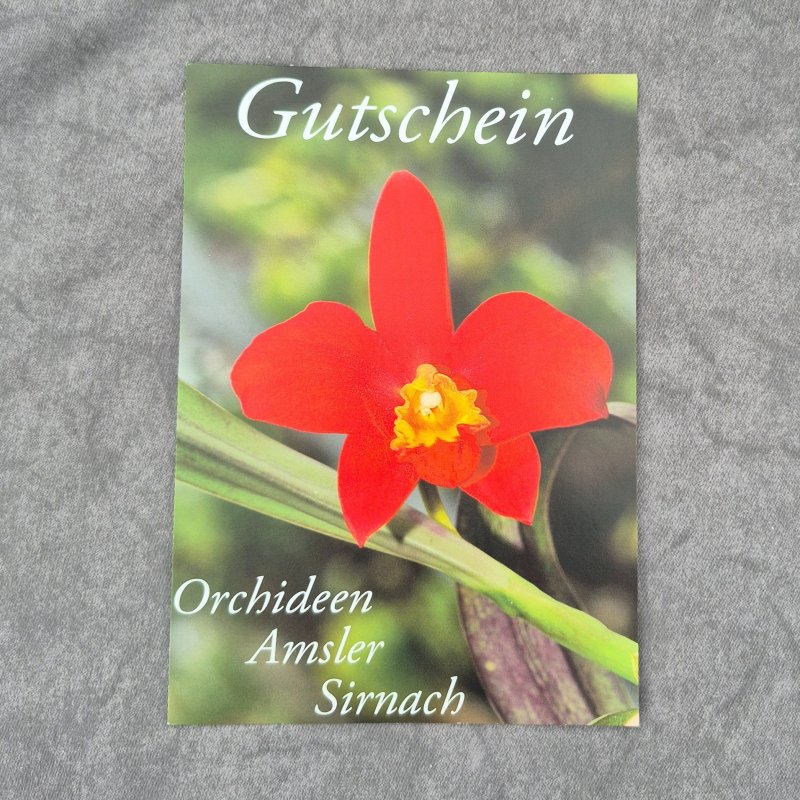 Gutschein 30