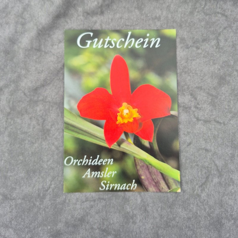 Gutschein 50