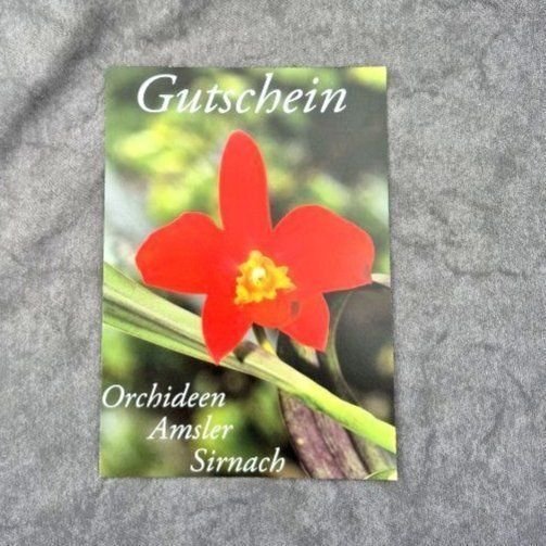 Gutschein 100